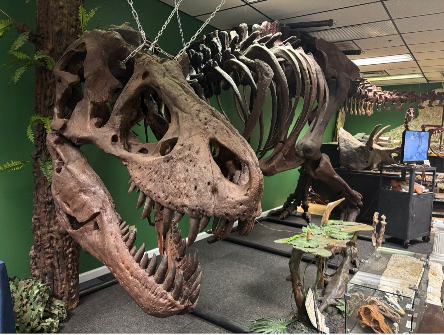 trex1.jpg
