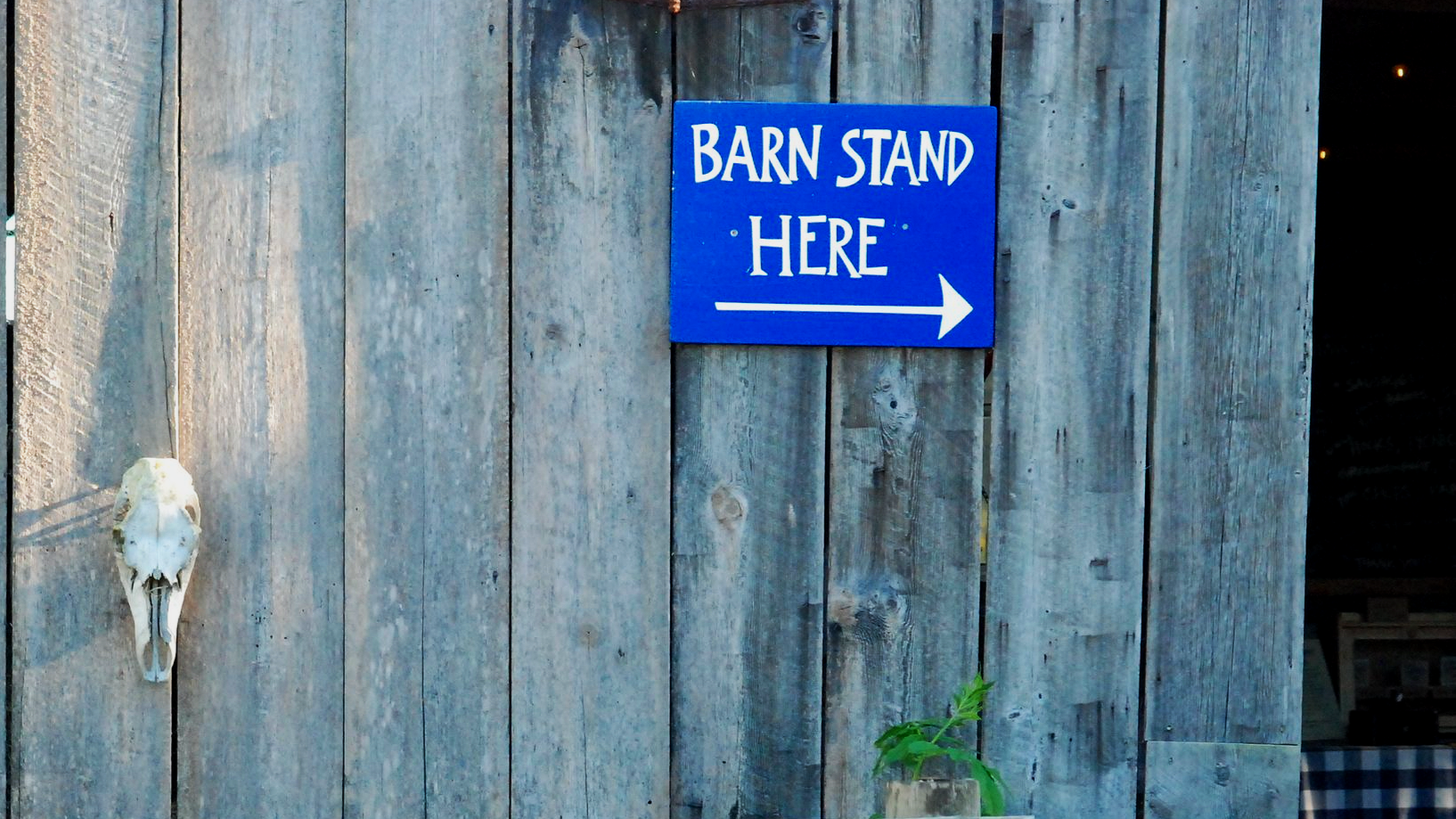 barnstand.png