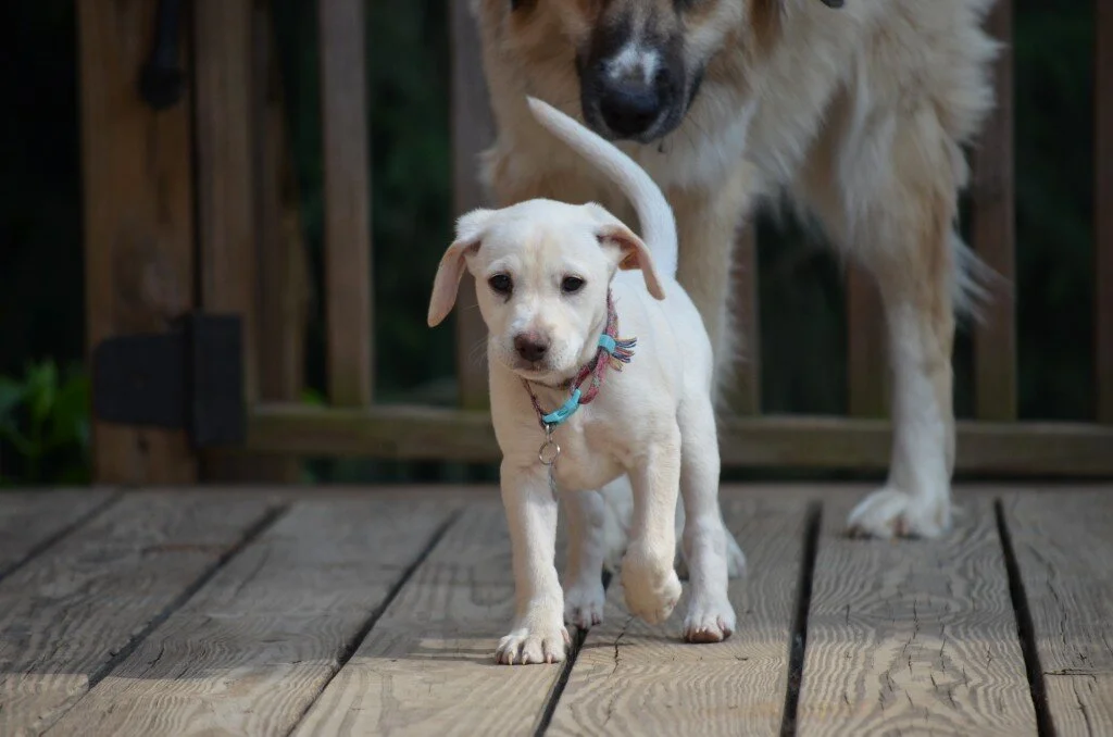 Socializing Adriana La Cerva