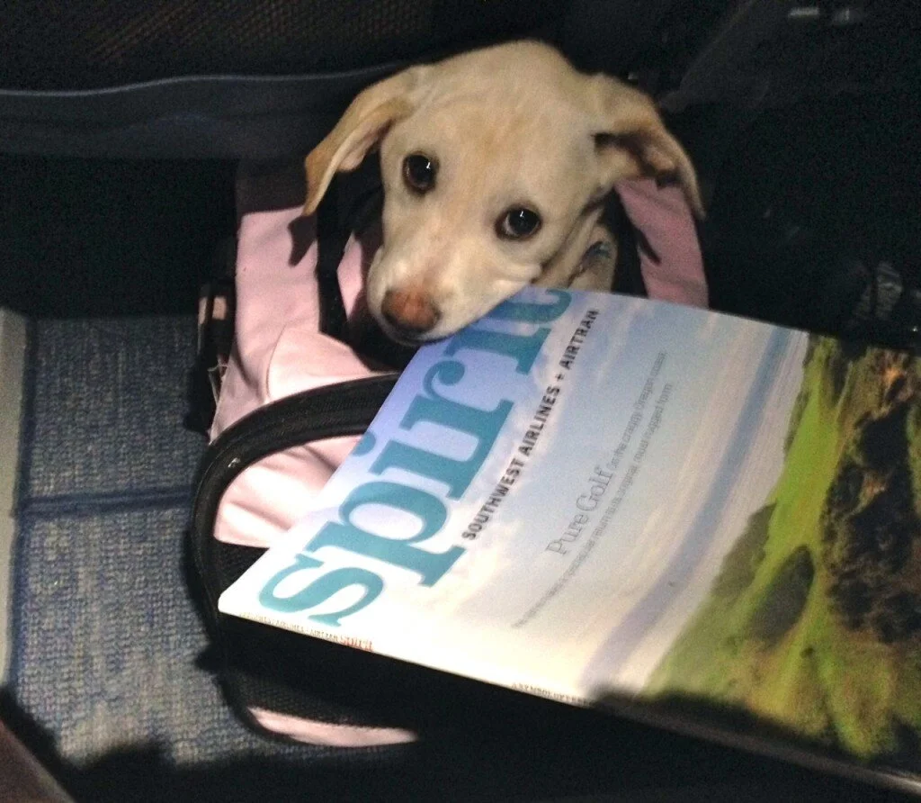 Snapshots from Adriana’s Vacation