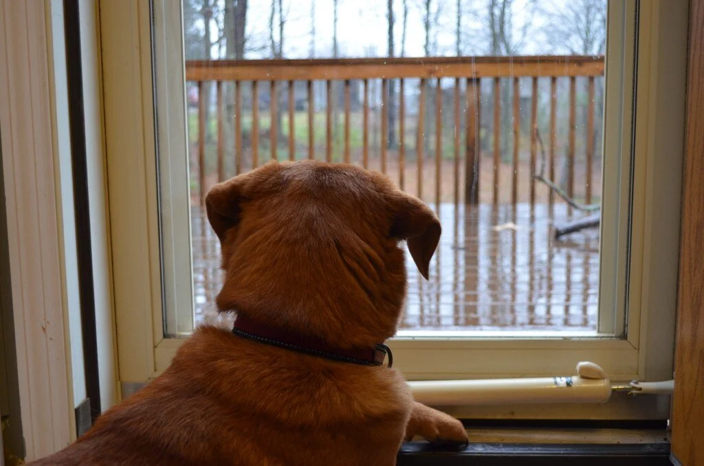 The Cost of Floyd's ACL Surgery