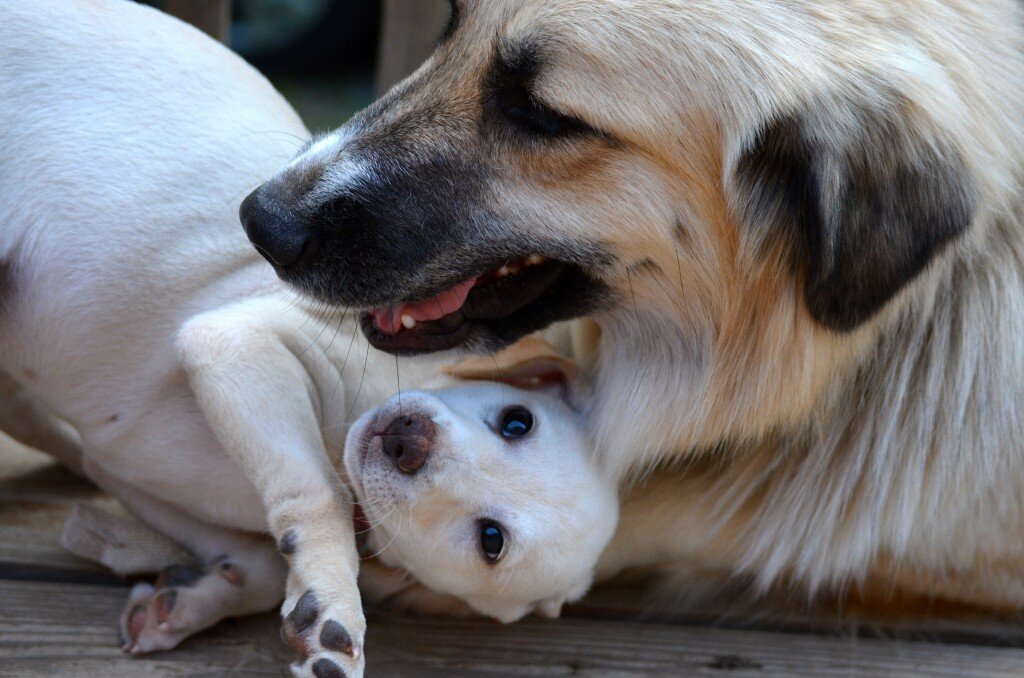 Thankful for My Freaks