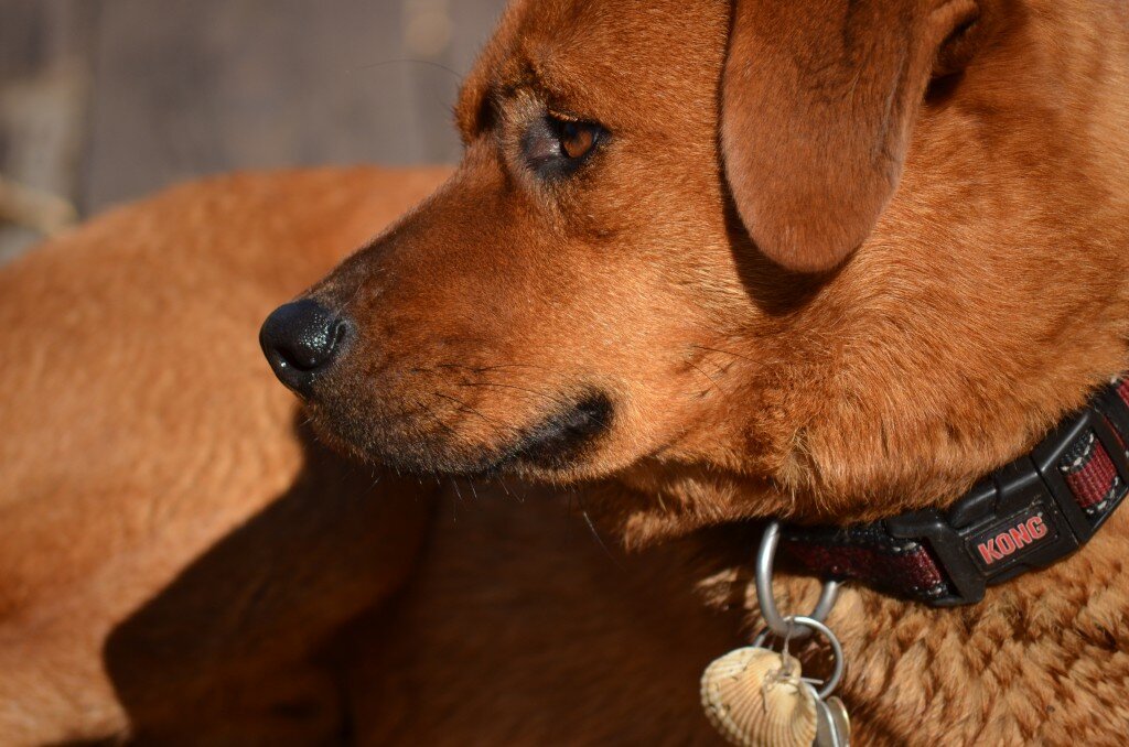 Pretty Boy Floyd Falls for Dawn