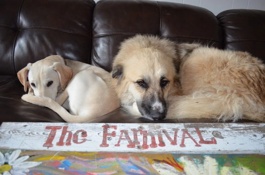 Farnival Update: Never Say Never