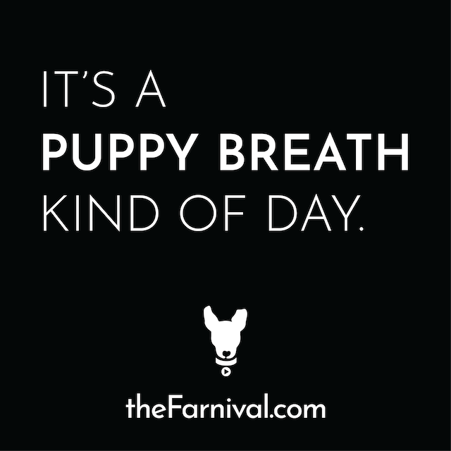 Puppy Breath_Sticker V3 small.png