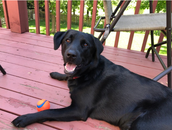 Incentives are Superpowers