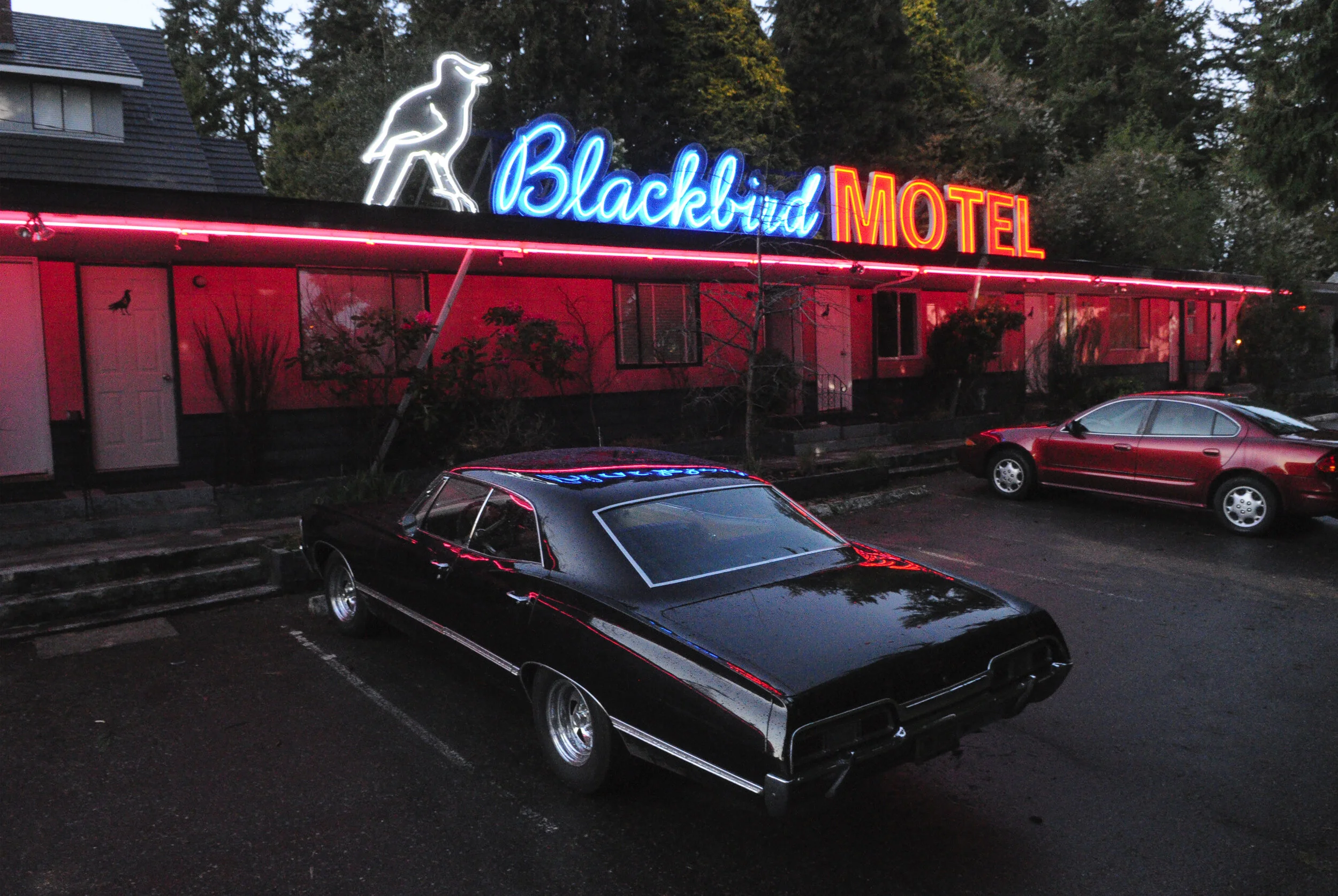 Motels.jpg