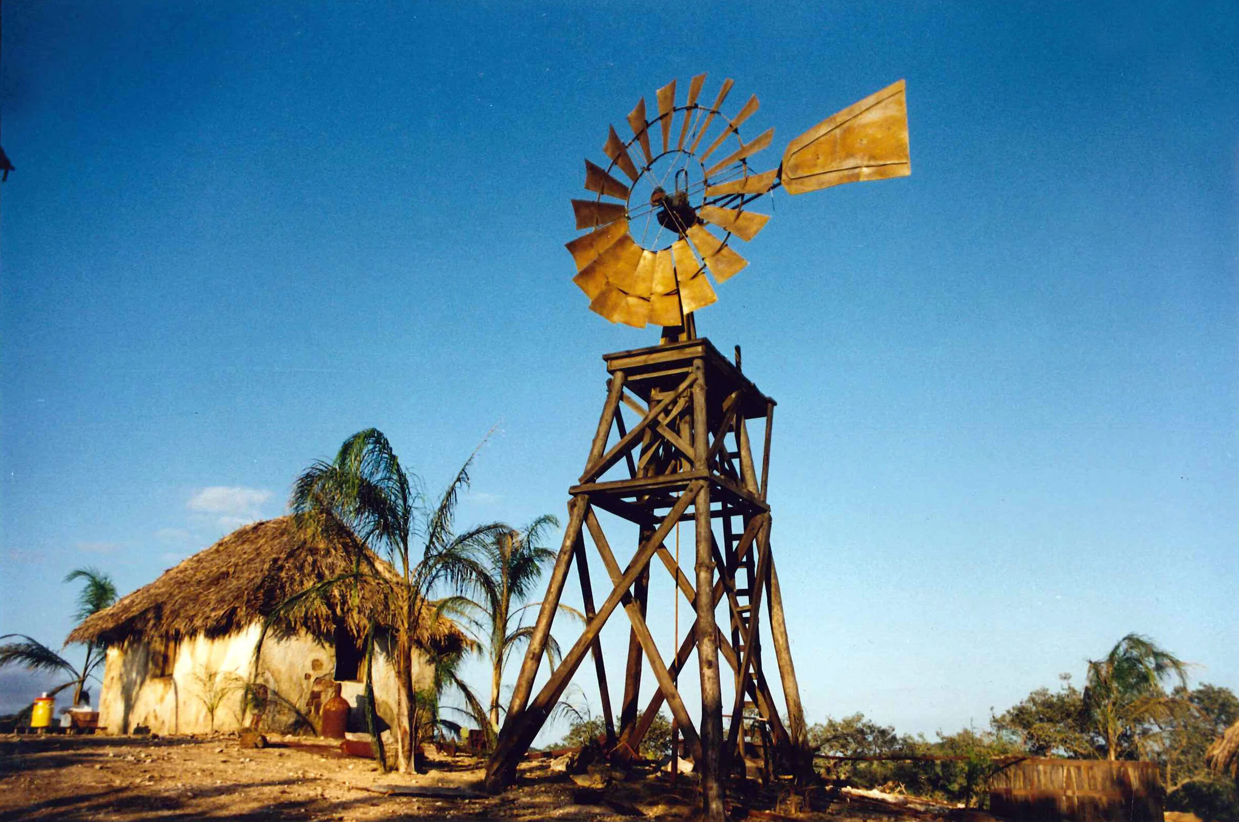 Rough Riders - Western Windmill