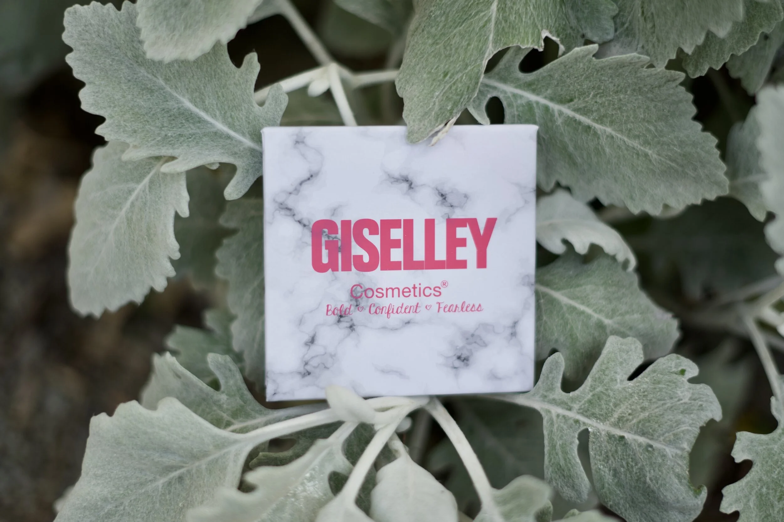 82FBB6AB-9EB3-43B7-9C24-EEC10182C9D6