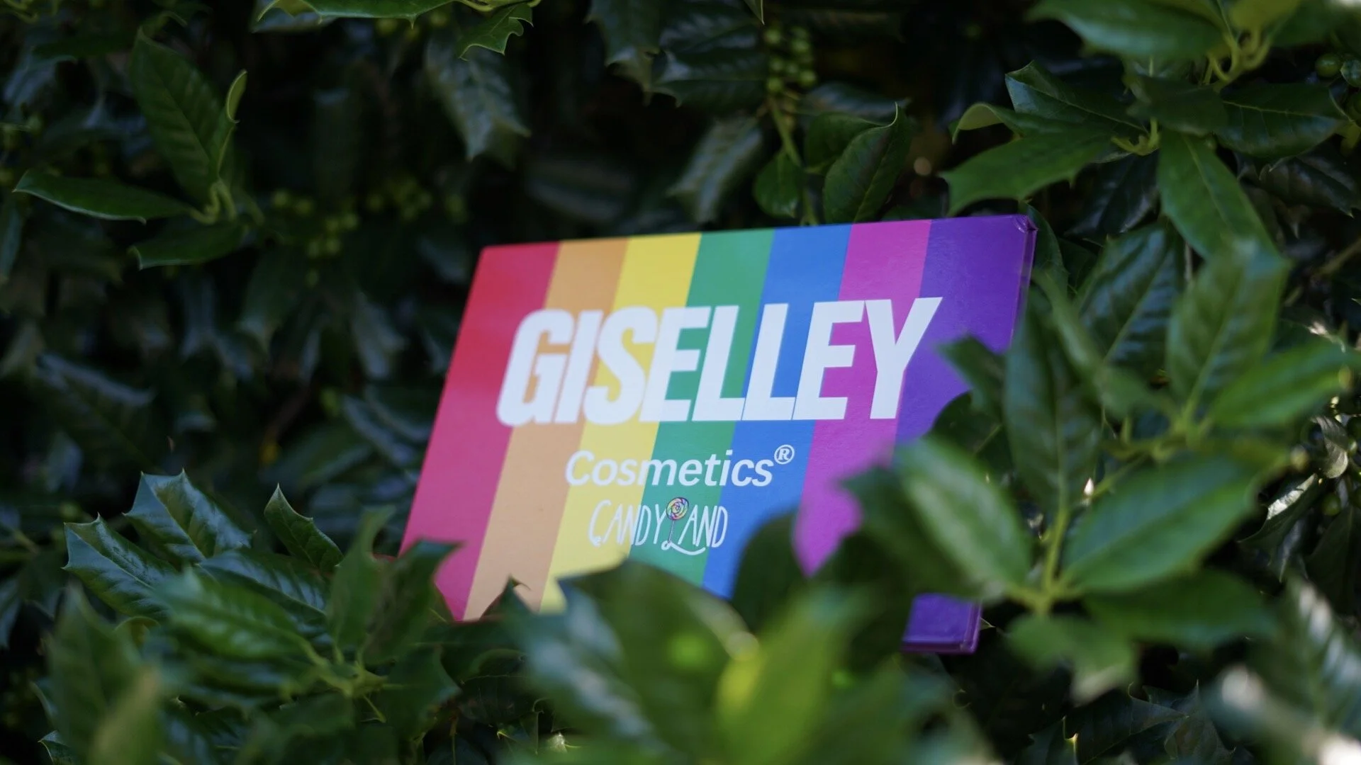 402878AA-992B-483B-9EEF-797F323BD383