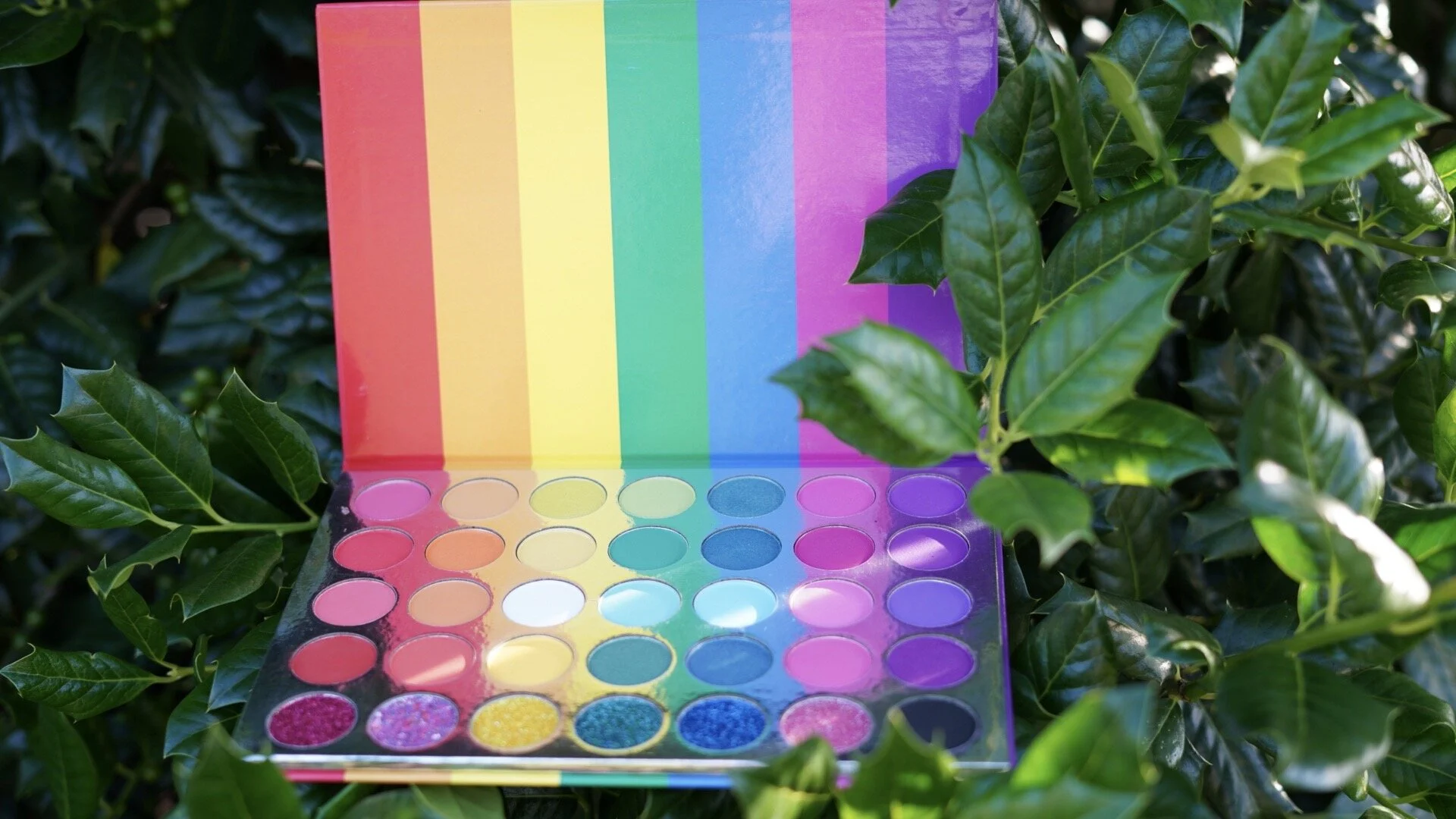 3223FEA5-3724-43E9-9F06-5D5B7CD655D8