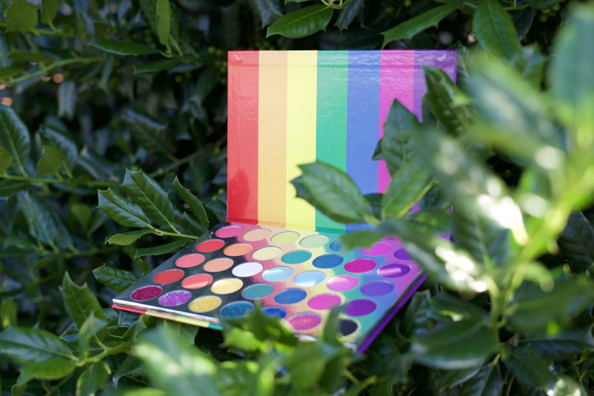 7352907F-1451-41B4-BB9C-7F66A77C8908