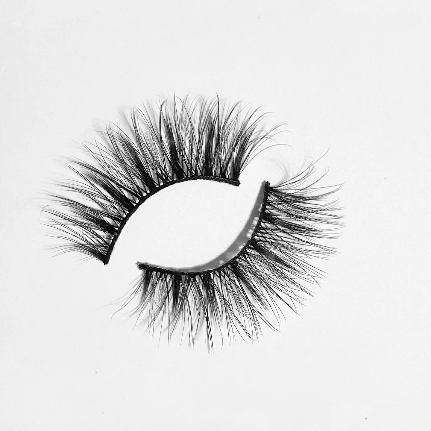 C6CEFD83-E1B9-4773-9F42-EF5164A11A0E