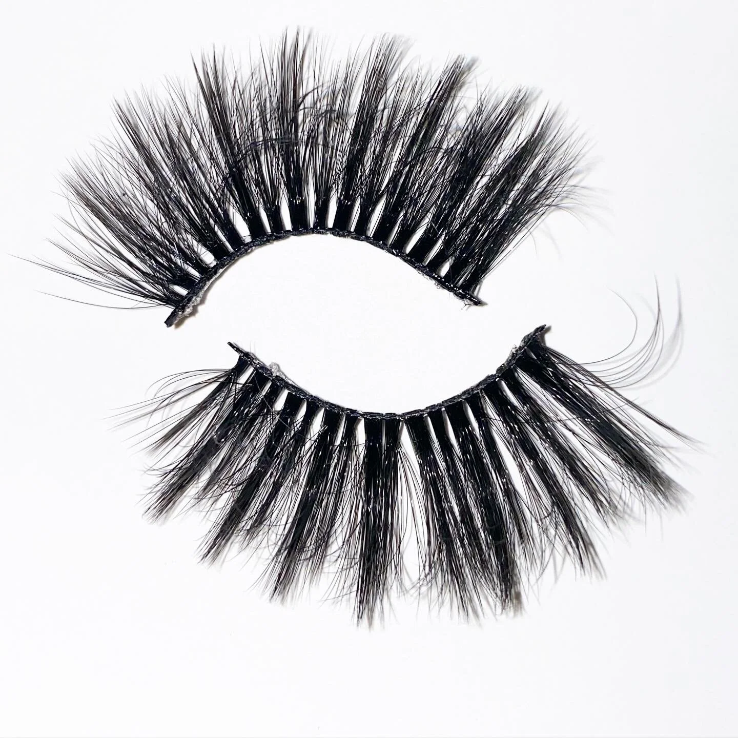 603CEE11-0EF7-4E0A-8575-6881718C62E2