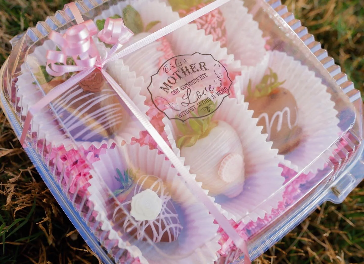 909AF05A-AB5A-4FB8-B9E5-FBB6C83AA171