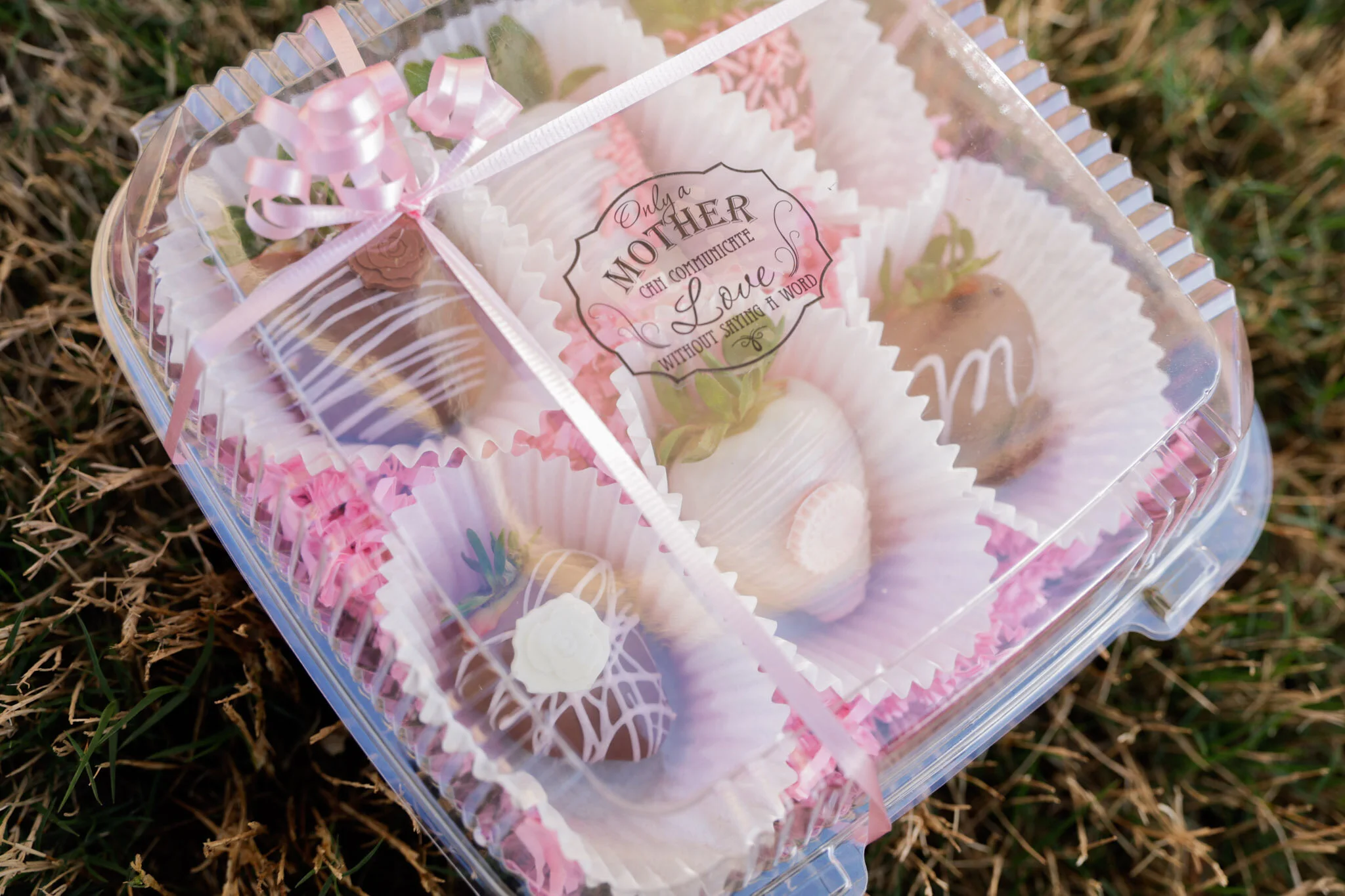 52A00AD8-C73A-4272-AC17-D16C9BE8C4D1