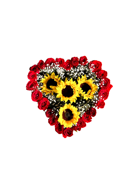 8A043199-EDB2-42E9-B680-D71CC8C08893