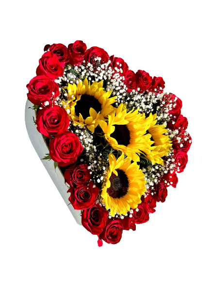 9A71EA55-62B0-4019-A3FE-95BE42BE3053