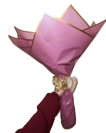 3989E3F5-D6F8-42E2-BCAF-F1DF54C4E22E