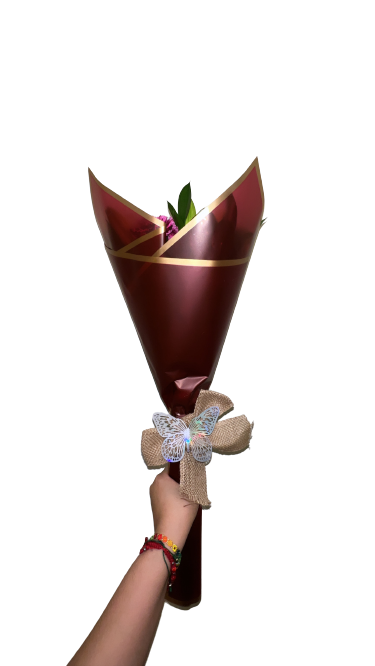 F058956D-6C73-4F1D-B63C-24105DBA8B20