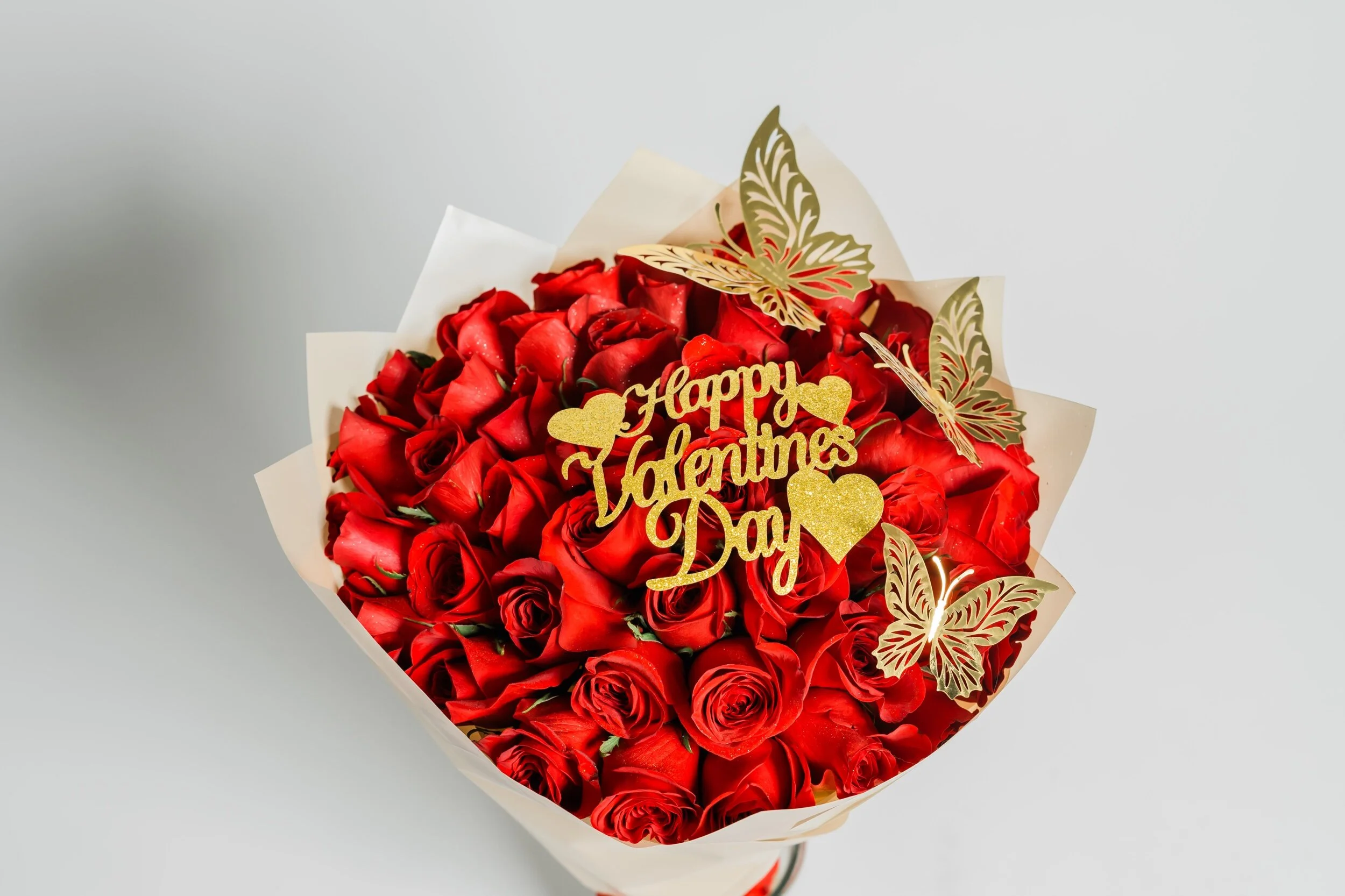 4E122D7E-5D97-462C-90BA-631D38132007