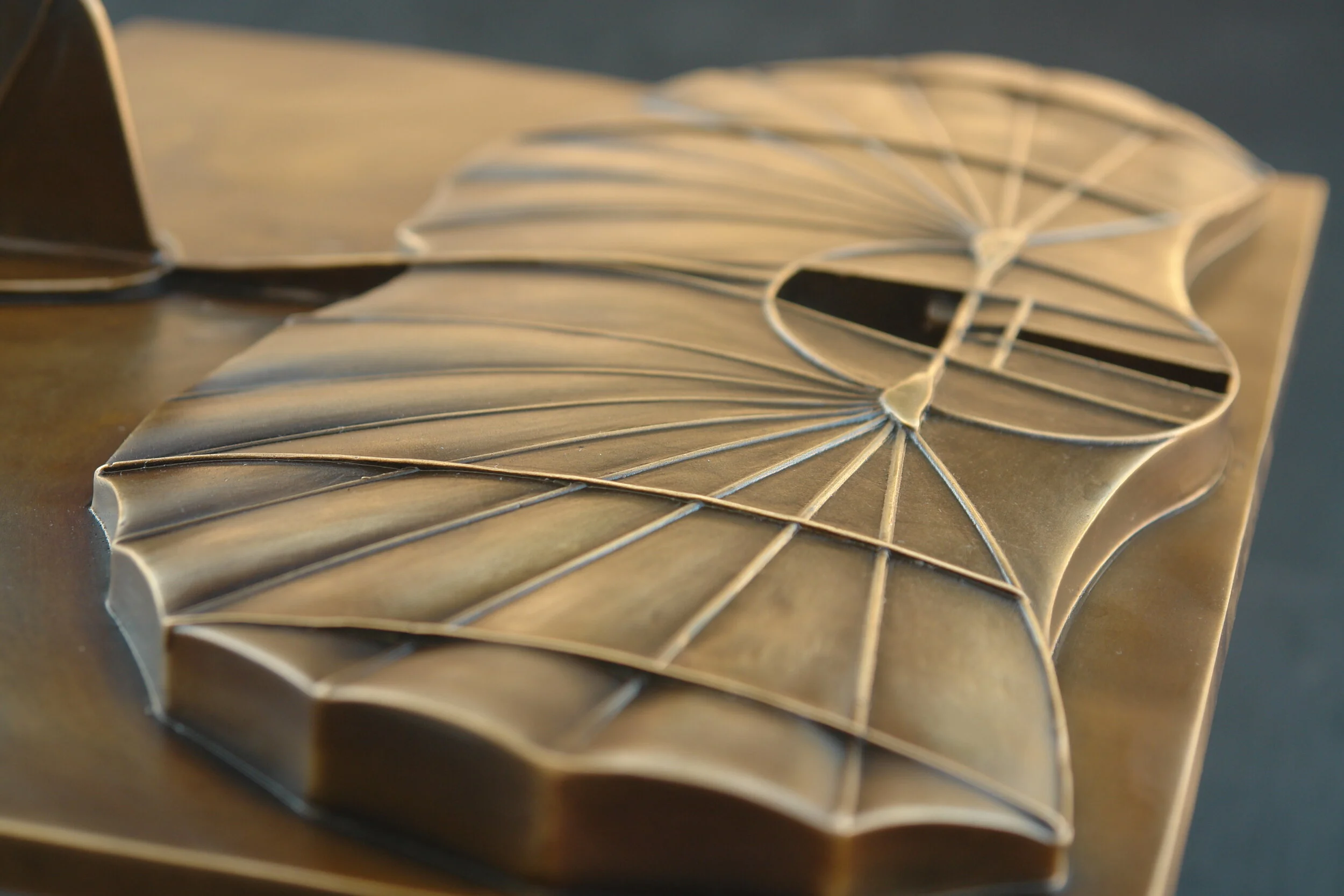 20170603 BronzeLilienthalPlaque by CosmoWenman_01.JPG