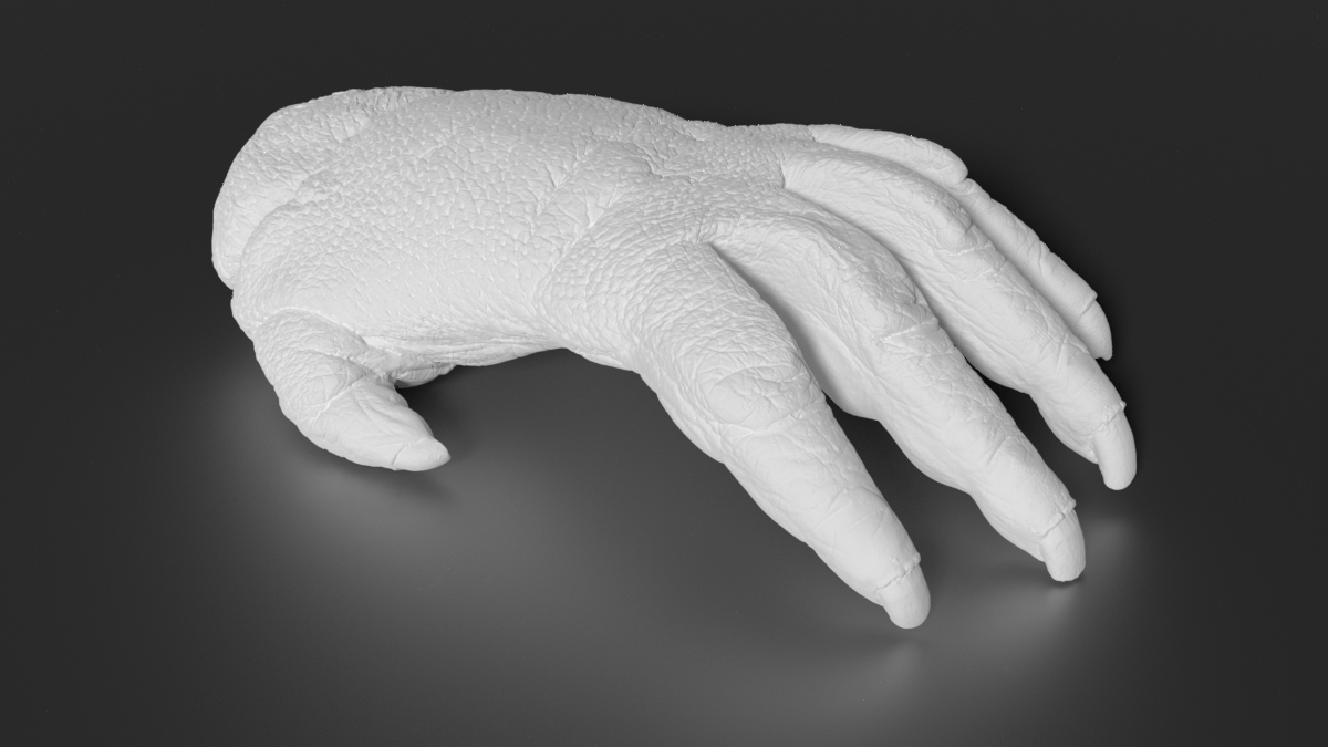   Original object — in this case, a 14” plaster cast of an Orangutan hand.  