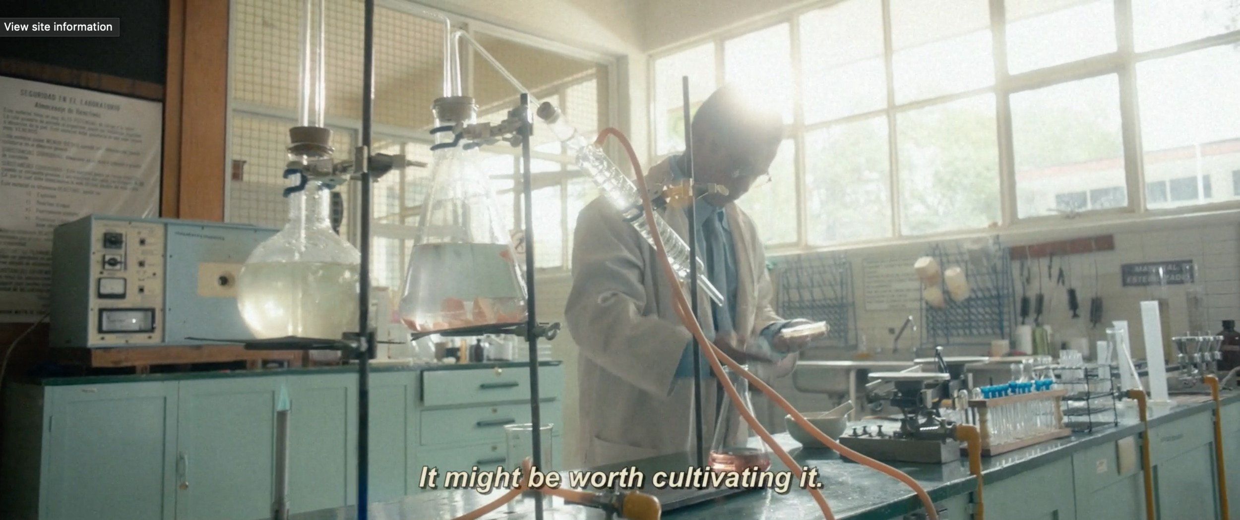 Screen Shot 2020-01-09 at 11.29.09 AM.png