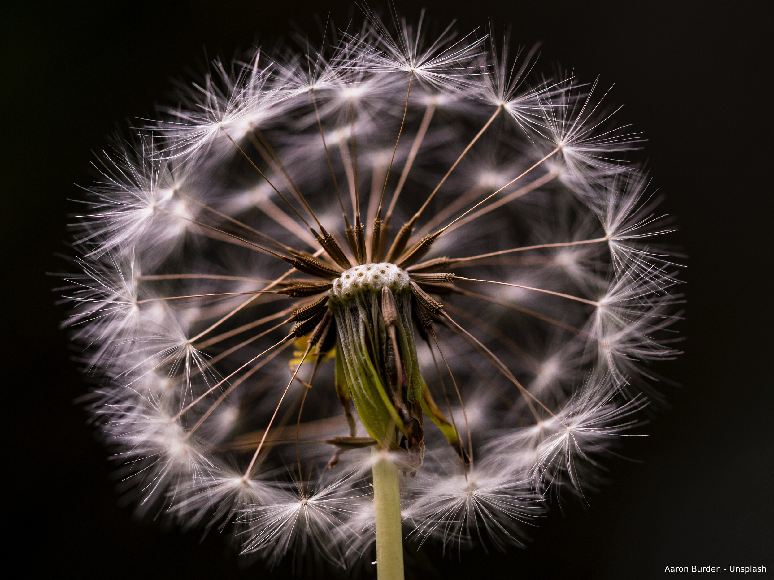 Stop wishing and start living - now!