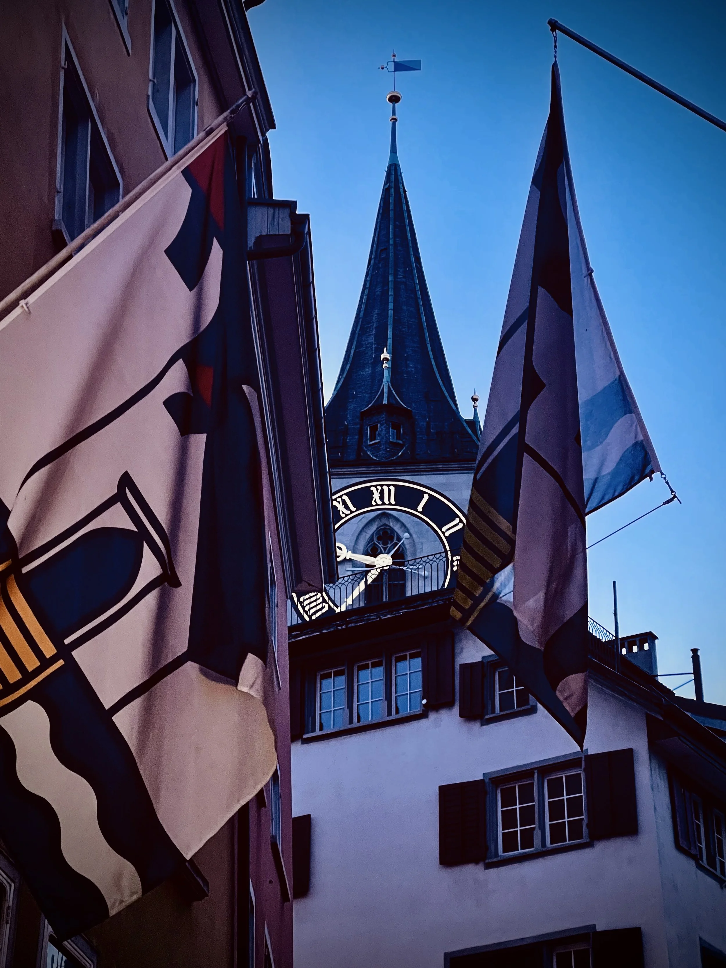 Hidden in flags