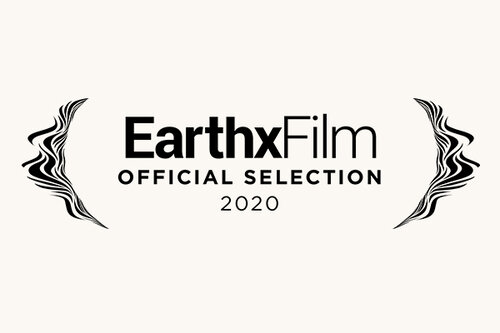 Earth X Film