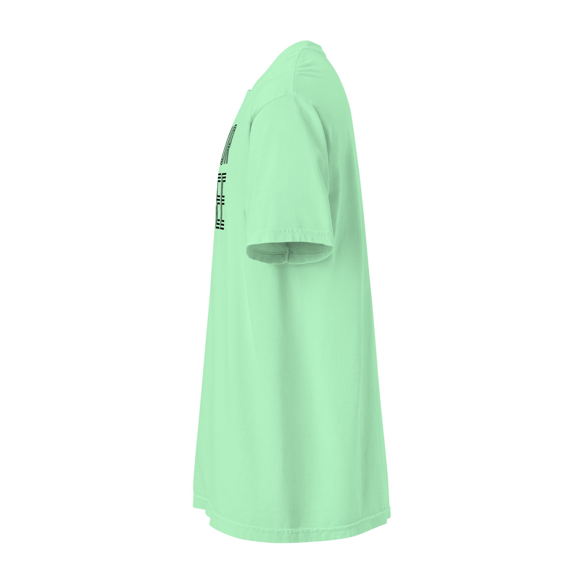 unisex-garment-dyed-heavyweight-t-shirt-island-reef-left-6a0b741adddc3.jpg