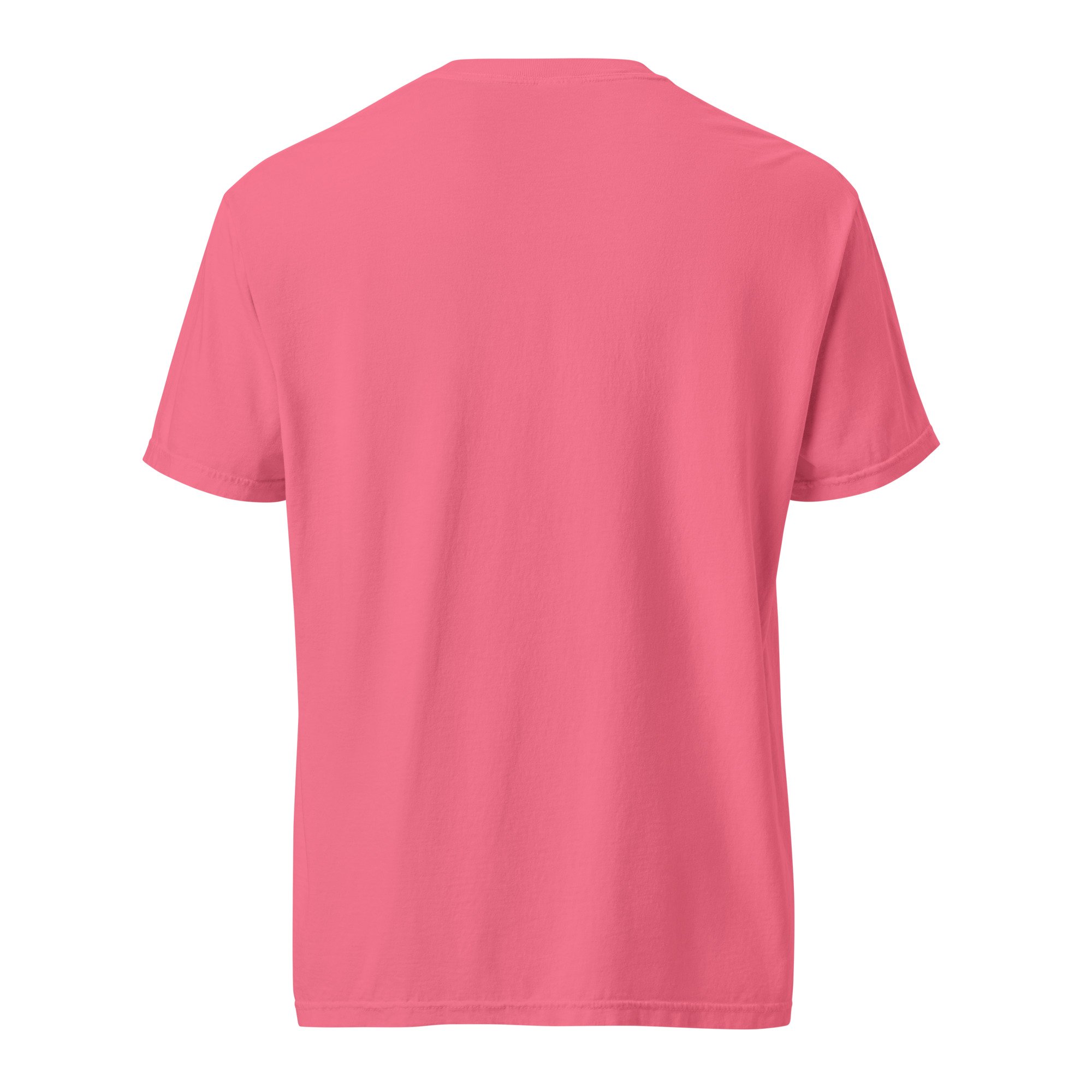 unisex-garment-dyed-heavyweight-t-shirt-crunchberry-back-6a0b96e273930.jpg