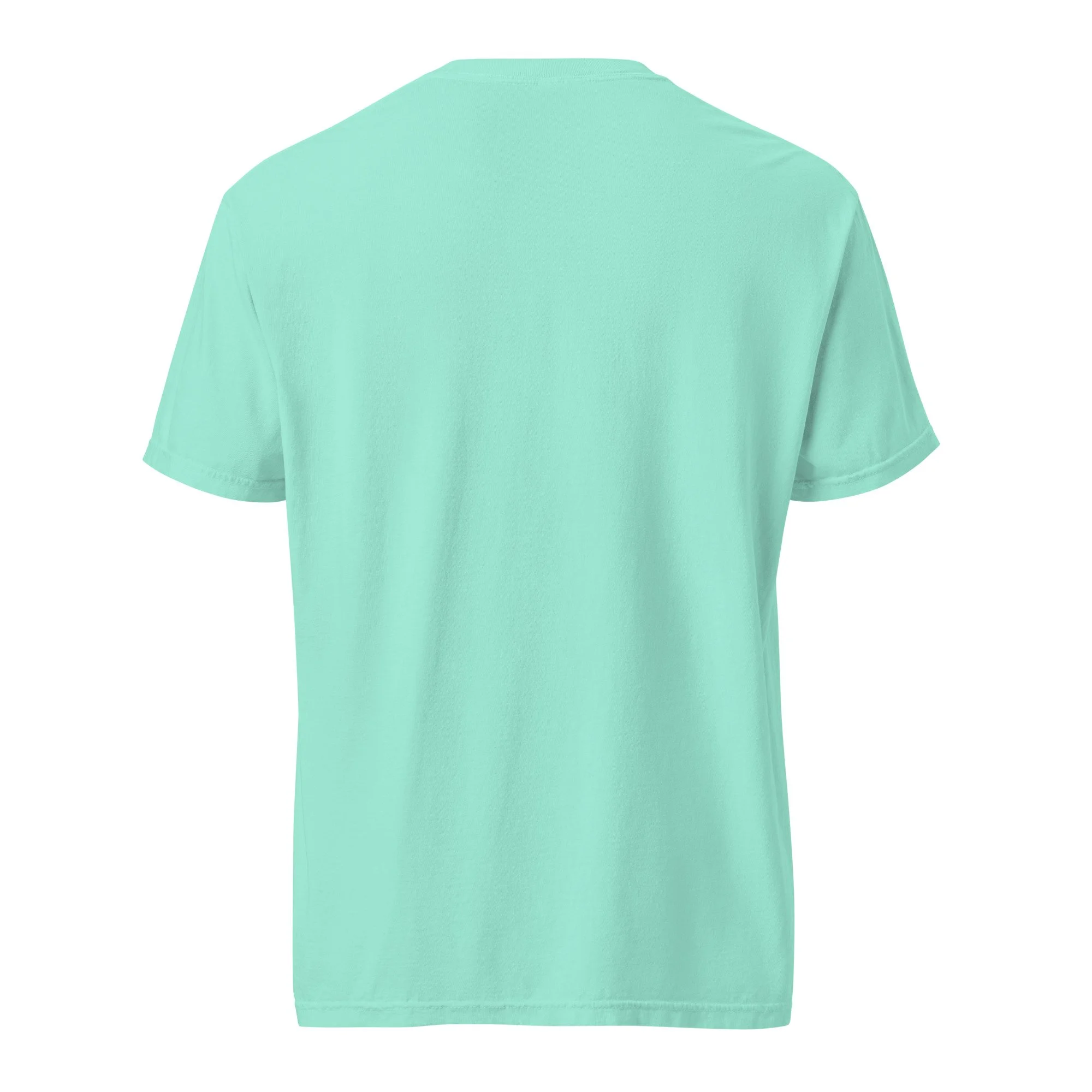 unisex-garment-dyed-heavyweight-t-shirt-chalky-mint-back-6a0b96e2872b4.jpg