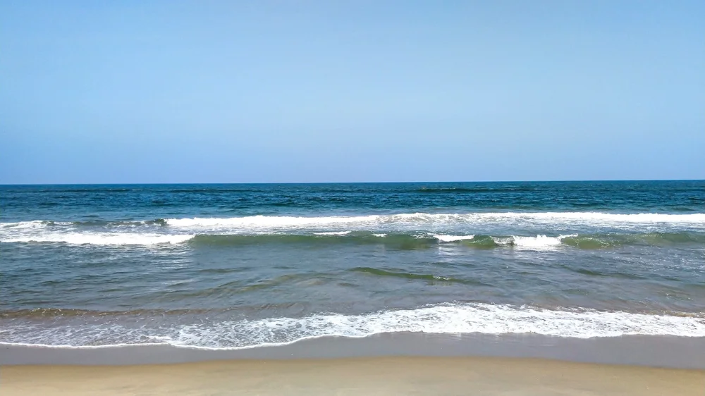 Sea Isle City Rentals and Real Estate 2021 2022 1800SEAISLE