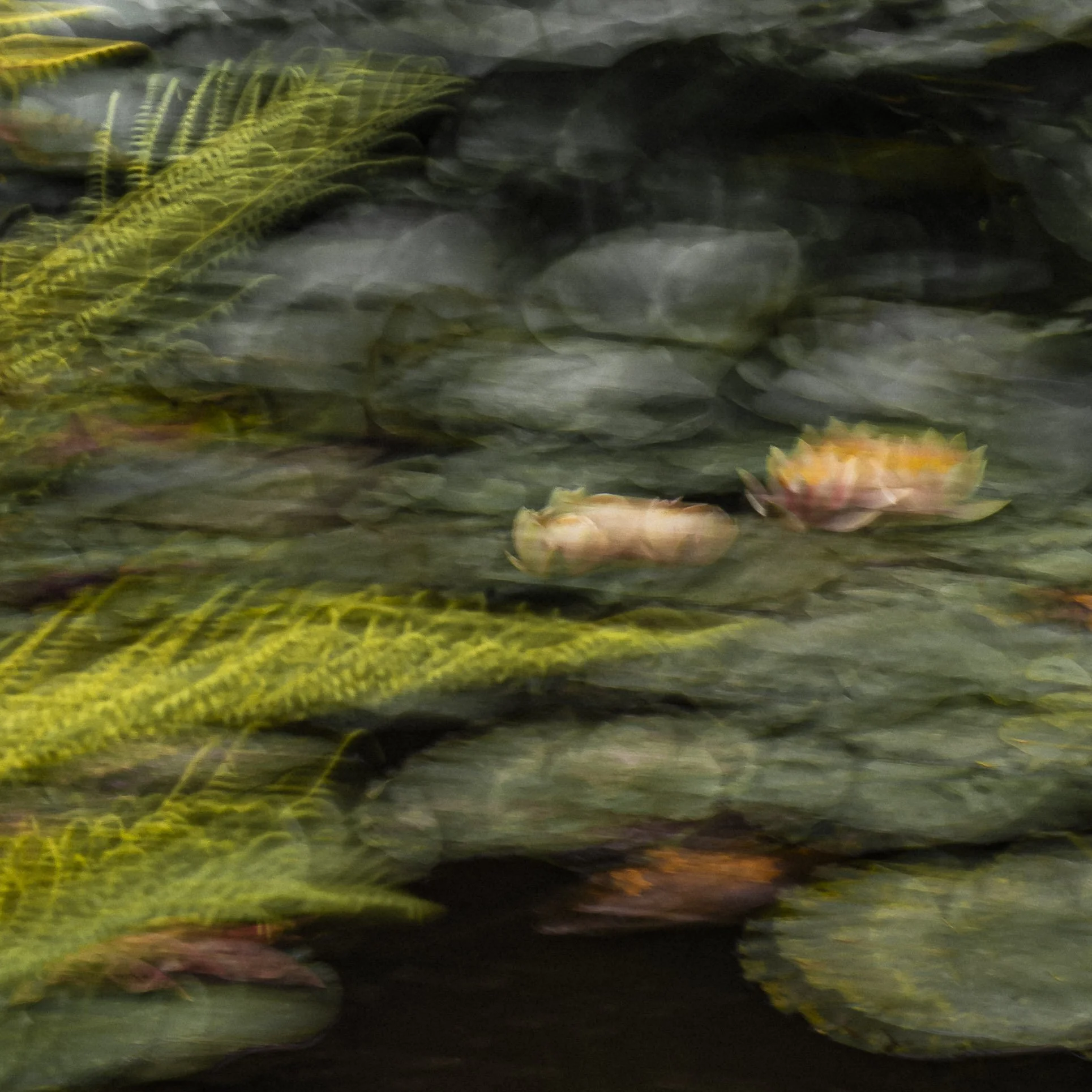 Impressionist #5 (2025)