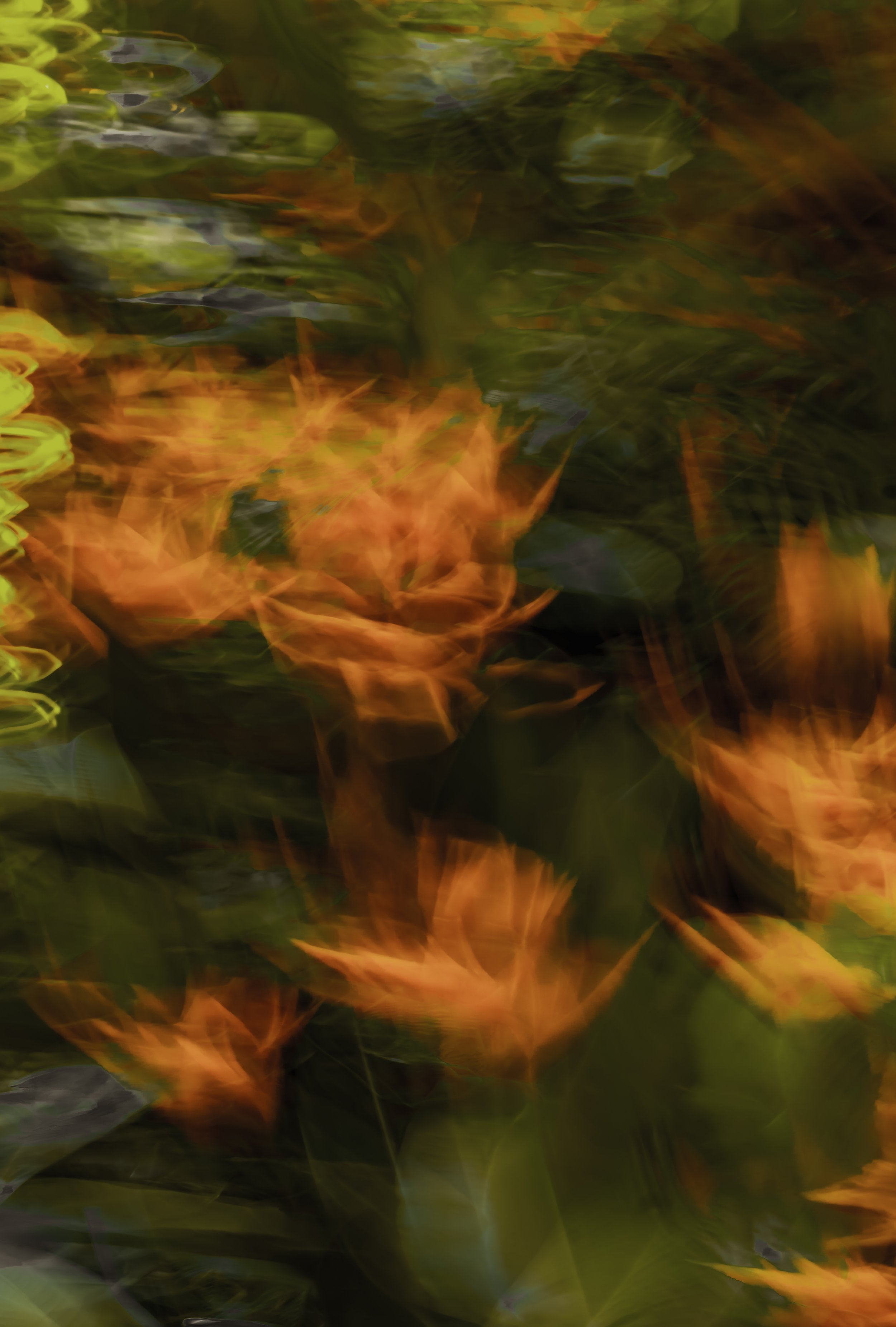 Tropical Series #10 (2025)