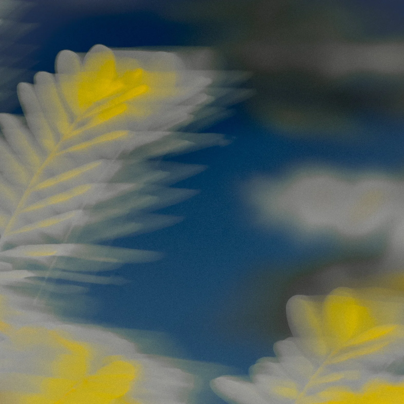 Tropical Series #8 (2025)