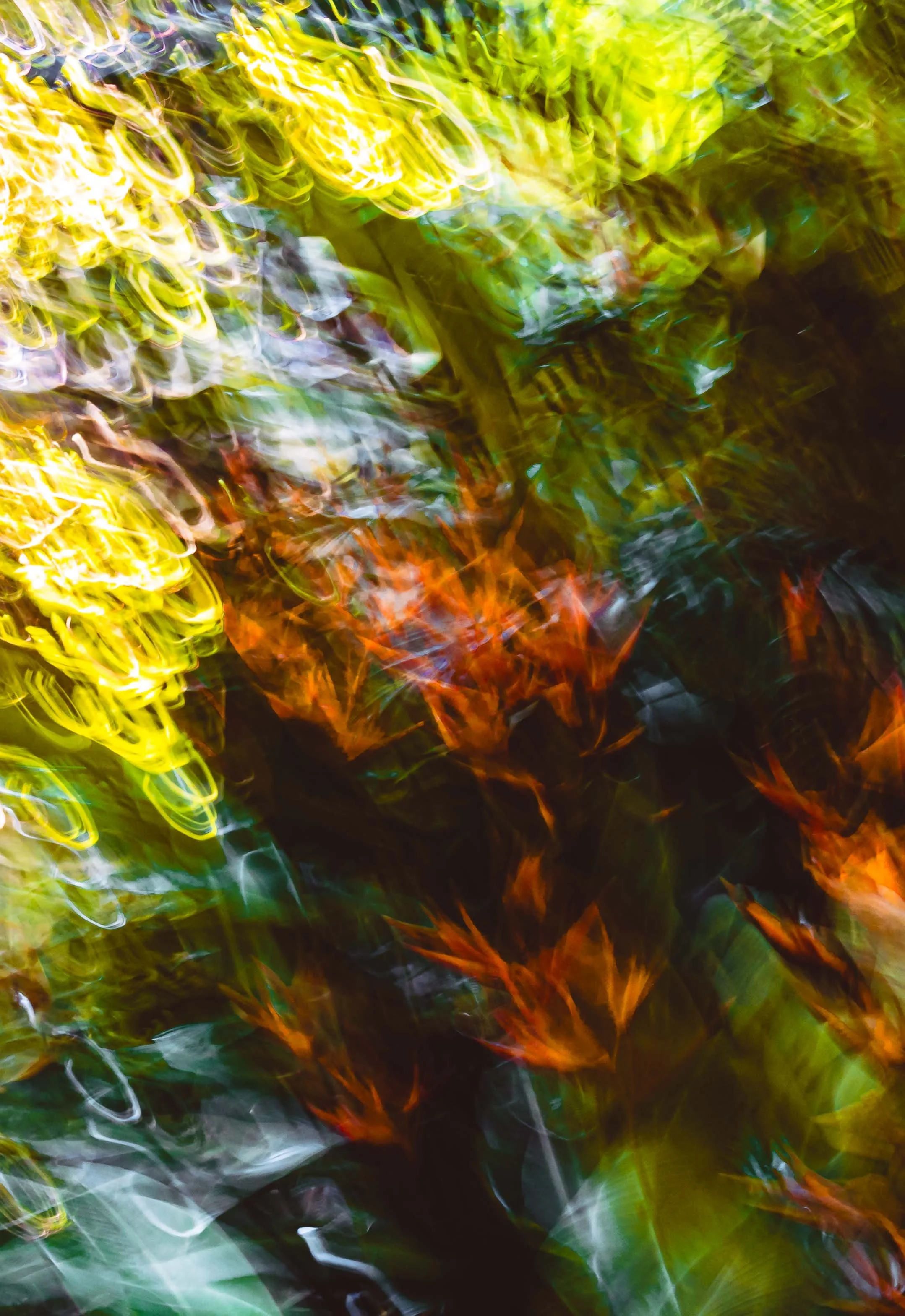 Tropical Series #14 (2025)