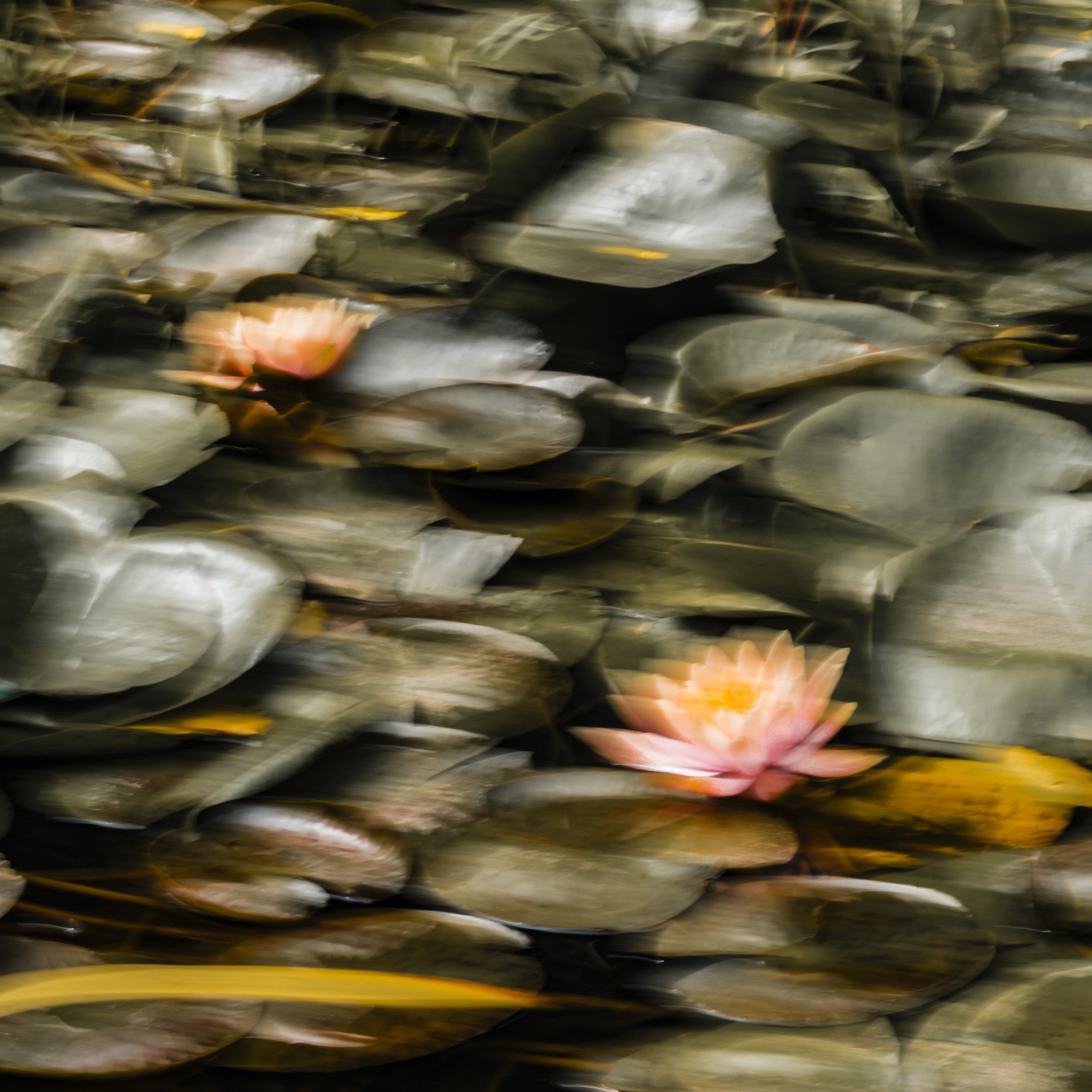 Impressionist #6 (Crop II) (2025)