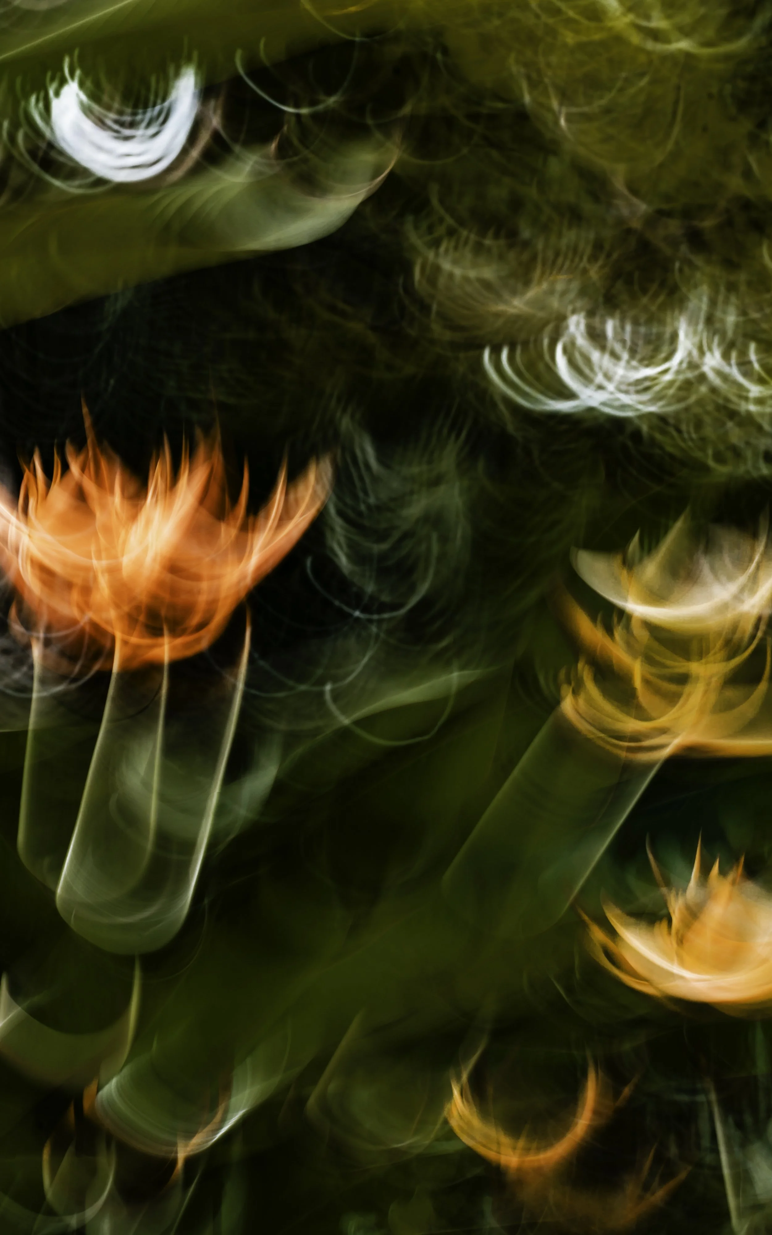 Tropical Series #2 (2025)