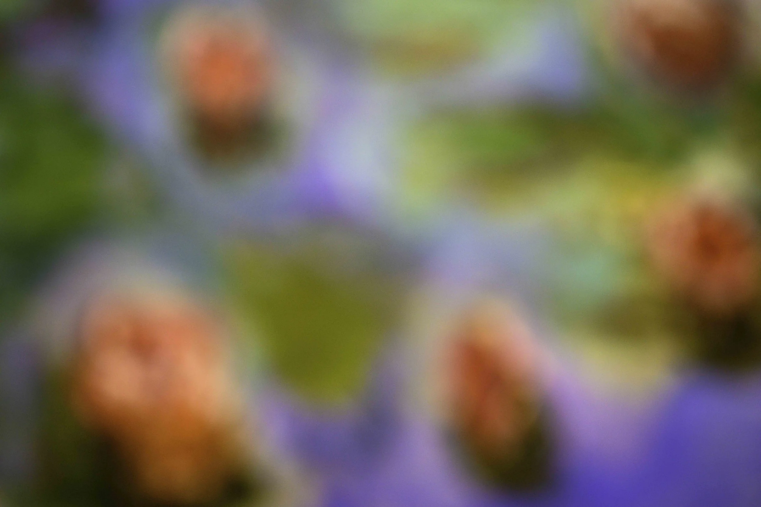 Impressionist #25 (2025)