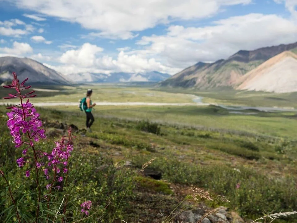 The Poop Talk, Act I: A Series of Anecdotes of a Pro Wilderness Pooper