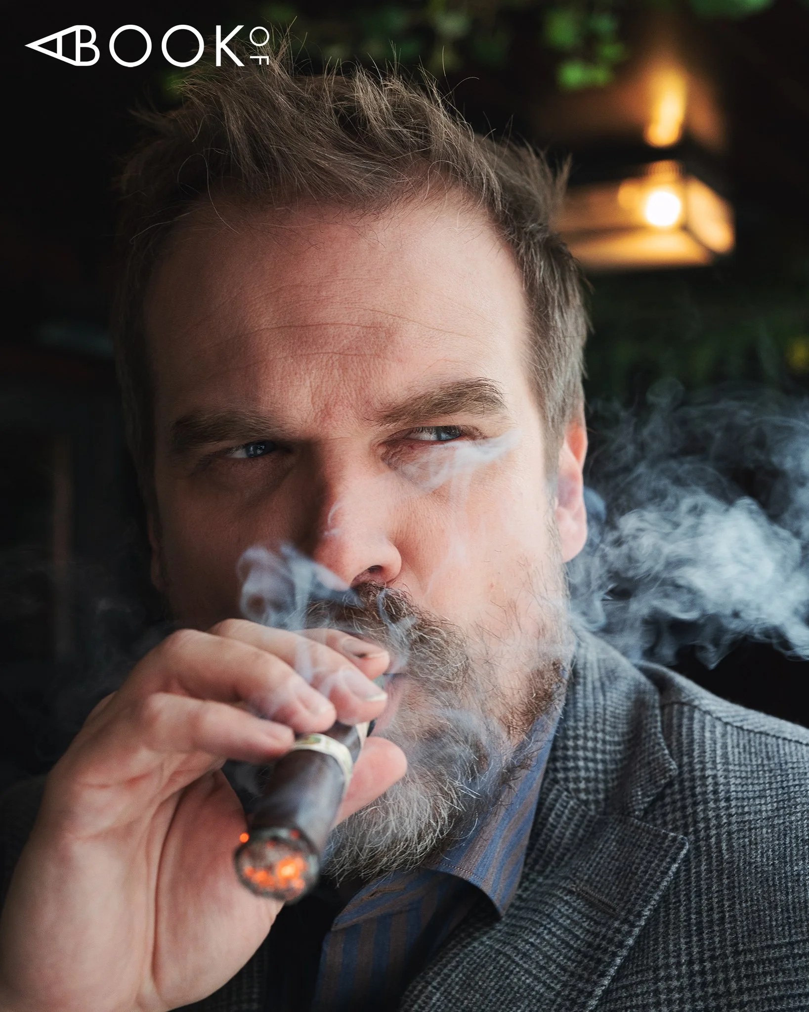 A BOOK OF_DAVID_HARBOUR_11.jpg