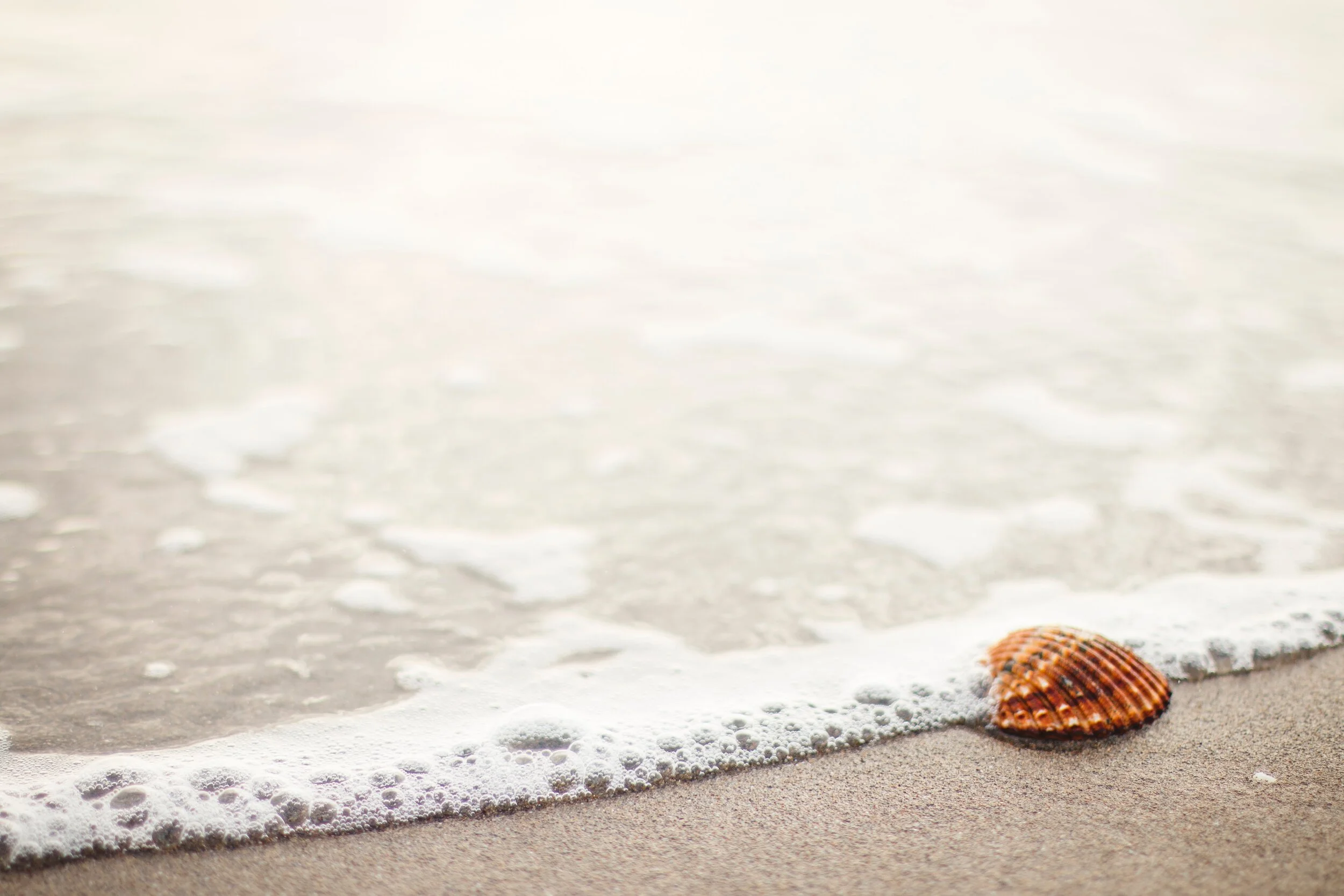 sea-nature-beach-sand-21859.jpg