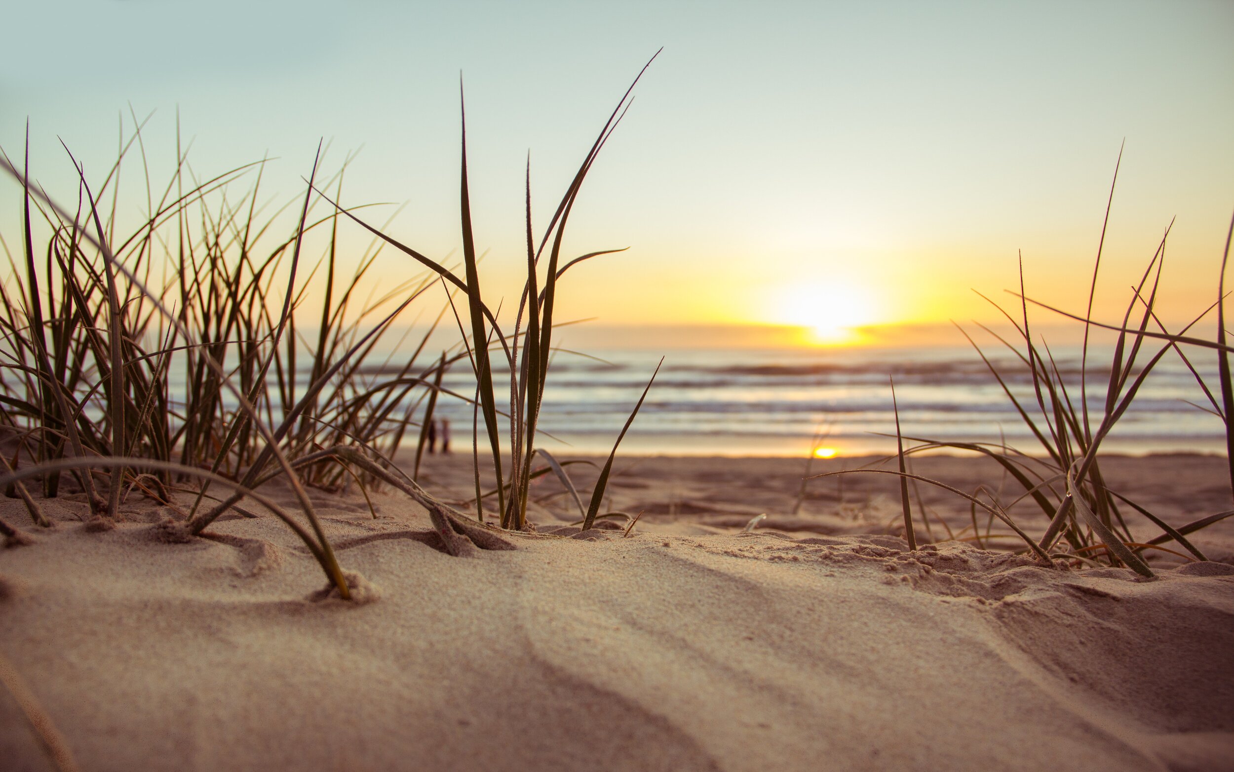 green-grass-during-sunset-1192671.jpg