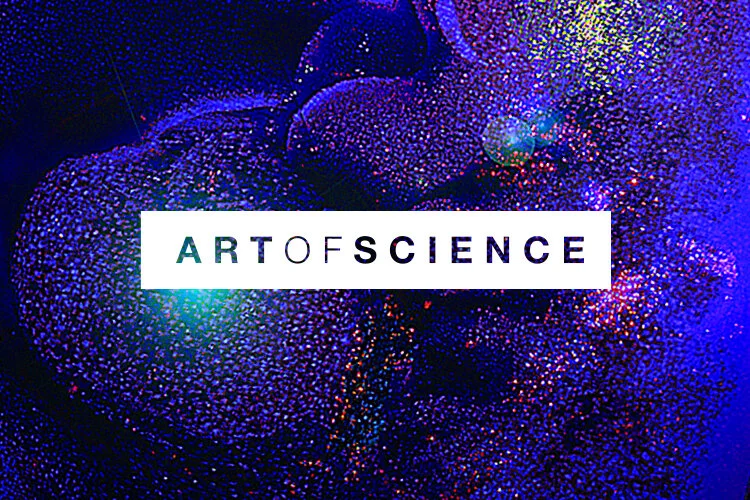 AOS-logo.jpg