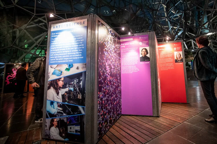 AOS-exhibit-2.jpg