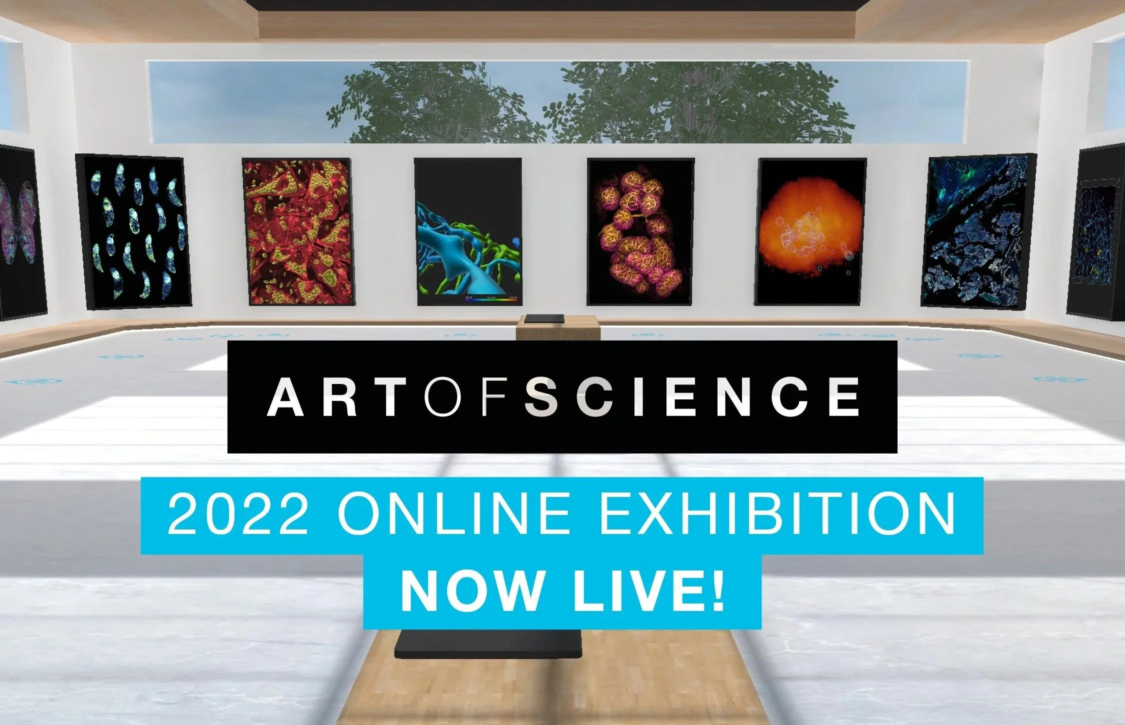 Art+of+Science+virtual+exhibition.jpg