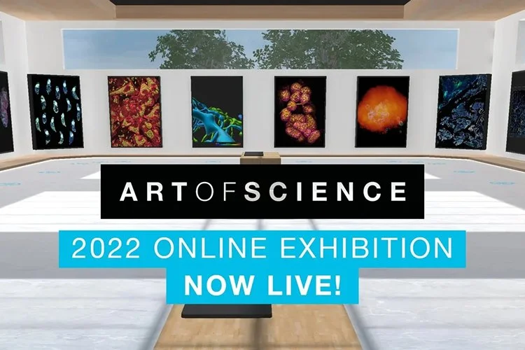 AOS-virtual-exhibition_resize.jpg
